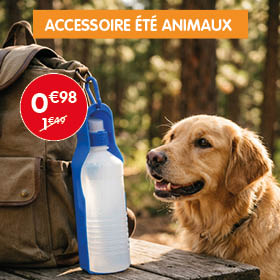 Slider Offer Banner 2